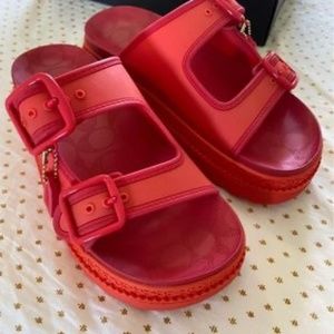 COACH Lucy sandal